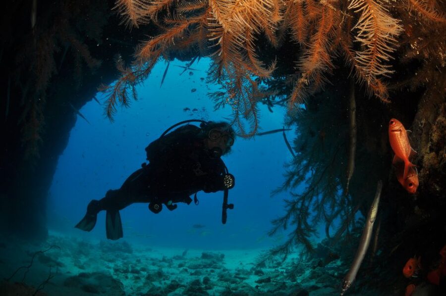 Santa Maria: Half-Day Diving Trip in Sal with Pickup - The group vibe and guidance style