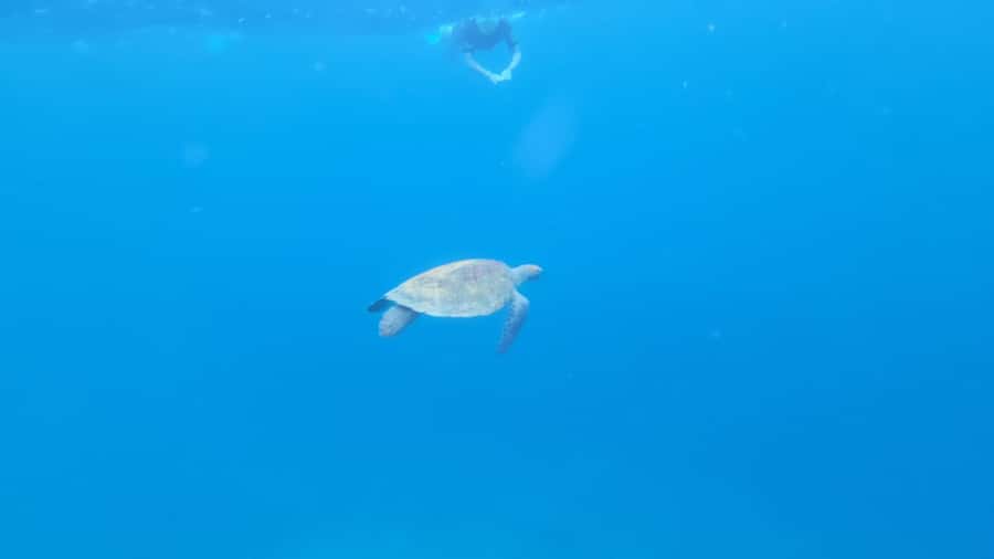 Santa Maria: Snorkeling Boat Tour - Safety and responsibility on the water, not just on paper