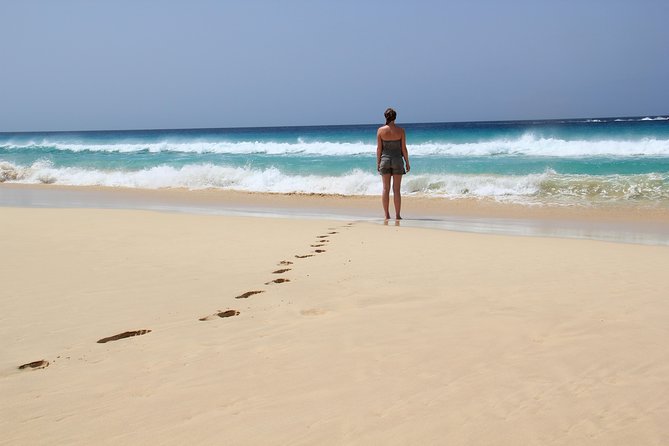 Santa Monica NO Stress Tour - Stop 1: Santa Monica Beach for sand time, swimming, and snorkeling masks
