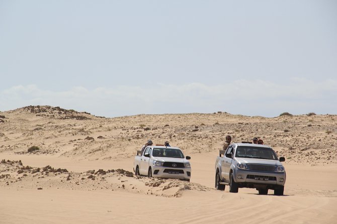 Santa Monica NO Stress Tour - The dune-drive bonus: Morro d’areia and a shot at sandboarding