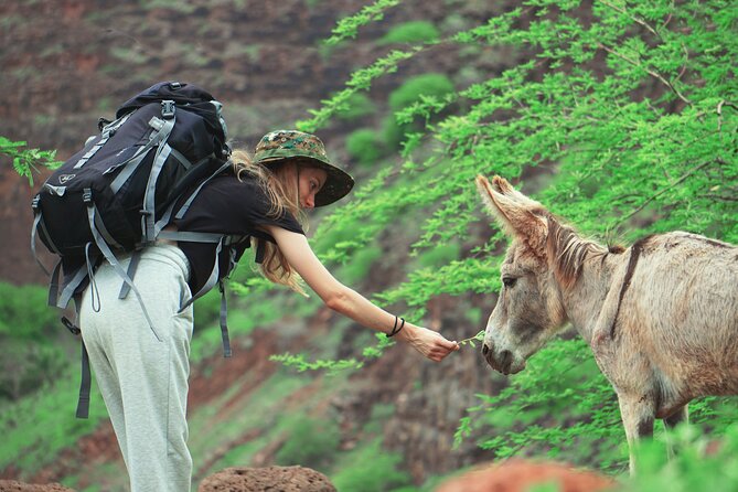 Santiago Island: 4-Hour Calabaceira Valley Hike & Guided Tour to Cidade Velha - Morning logistics: Praia pickup, 8:30 departure, and what to bring