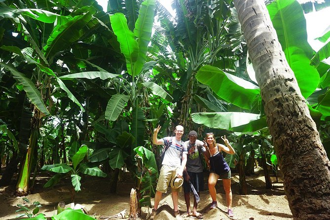 Santiago Island: Banana Plantation, Natural Park & Workshop with a local family - Key highlights to look for