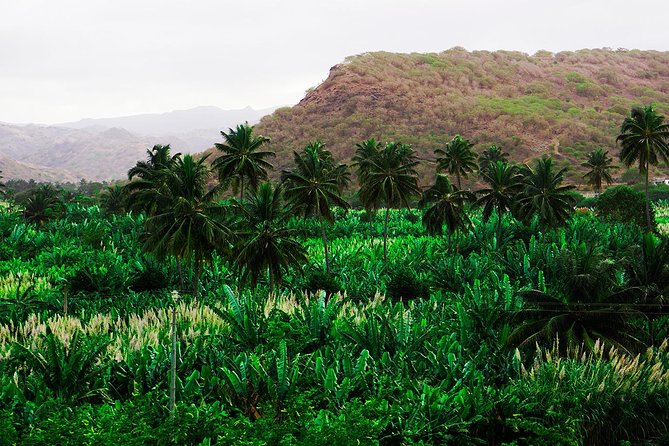 Santiago Island: Banana Plantation, Natural Park & Workshop with a local family - Praia pickup and the inland drive to Santa Cruz