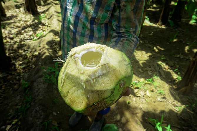 Santiago Island: Banana Plantation, Natural Park & Workshop with a local family - São Lourenço dos Órgãos: cooking cuscuz and fidjós with a local family