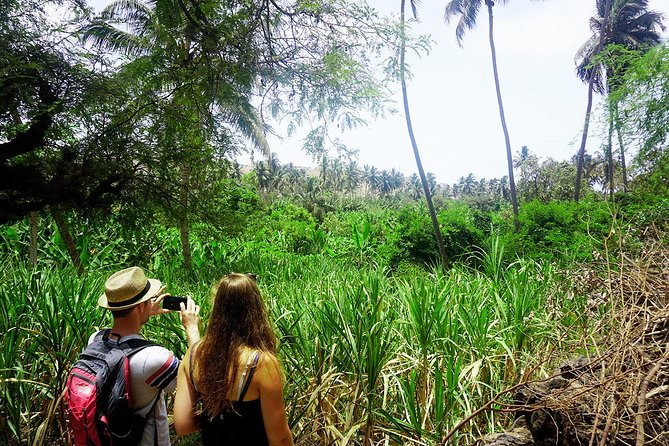 Santiago Island: Banana Plantation, Natural Park & Workshop with a local family - Why the guides make or break the day