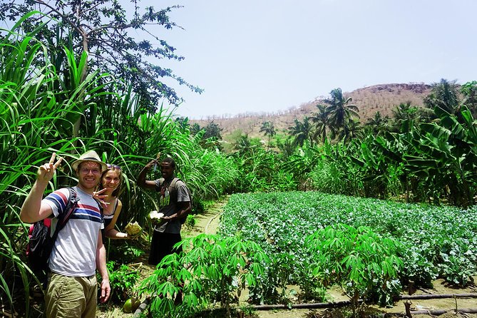 Santiago Island: Banana Plantation, Natural Park & Workshop with a local family - Who should book this tour (and who might skip it)