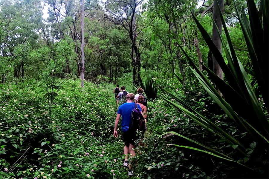 Santiago Island: Serra Malagueta & Tarrafal Beach Trek Tour - Practical tips for a smooth 8-hour day