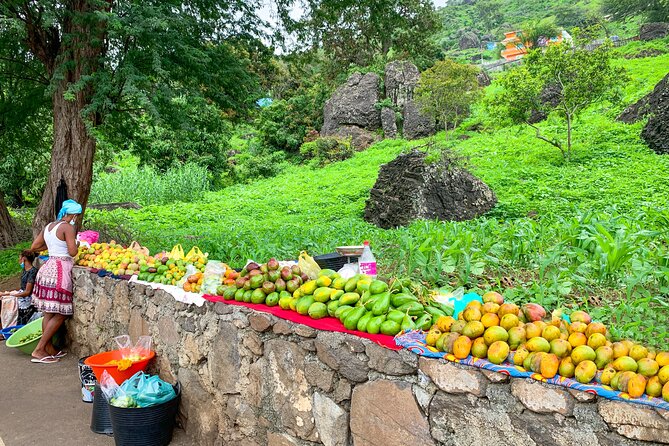 Santiago Island Tour: Meet with a Local Family & Tarrafal Beach - Small group vibes and guides who answer questions