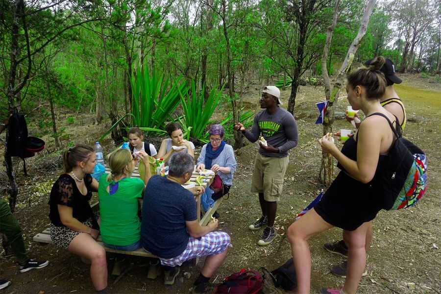 Santiago: Trek from Serra Malagueta to Rabelados Community - Endemic plants, animals, and threatened birds: what to focus on during your walk