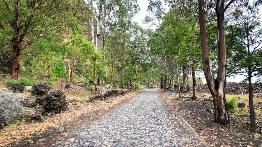 Sao Filipe: Coffee Plantation and Natural Pools Day Trip - Salinas de São José natural pools: the swim stop you plan around