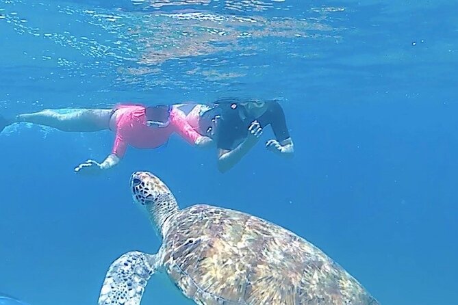 São Pedro experience (hiking & snorkeling with turtles) - Key highlights you’ll actually care about