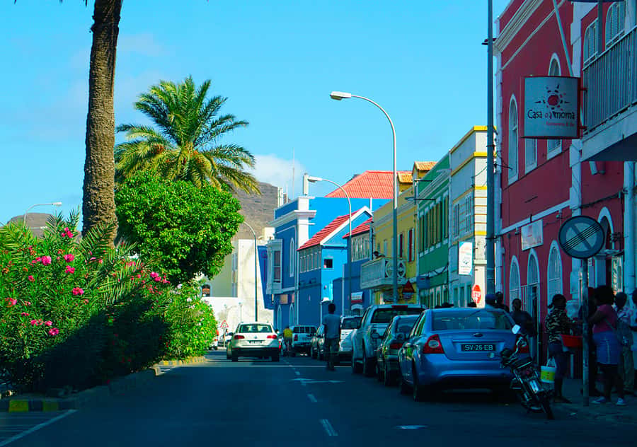 São Vicente Island: Full-Day Tour - Key highlights worth your time