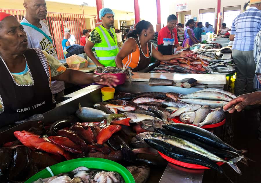 São Vicente Island: Full-Day Tour - Guides Matter: Why the Best Days Feel Unrushed