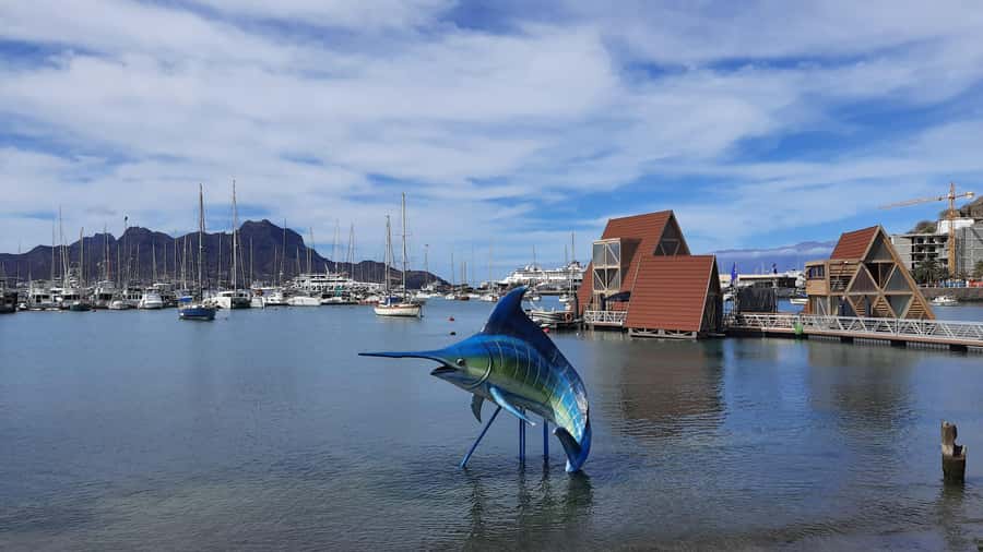 São Vicente: Markets, Beaches and Natural Park Tour - Monte Verde Natural Park: Views, Endemic Plants, And Wildlife Talk
