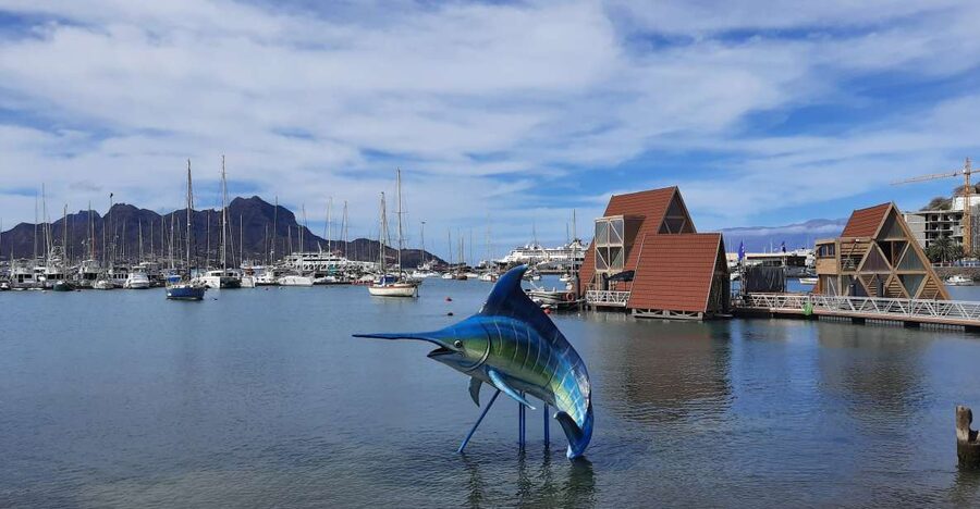 São Vicente: Markets, Beaches and Natural Park Tour - Should You Book São Vicente Markets, Beaches and Natural Park?