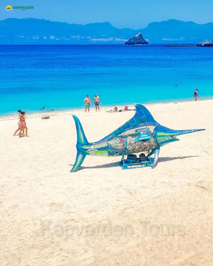 São Vicente: Markets, Mountains, Fishing Villages & Beaches - Key highlights to look forward to