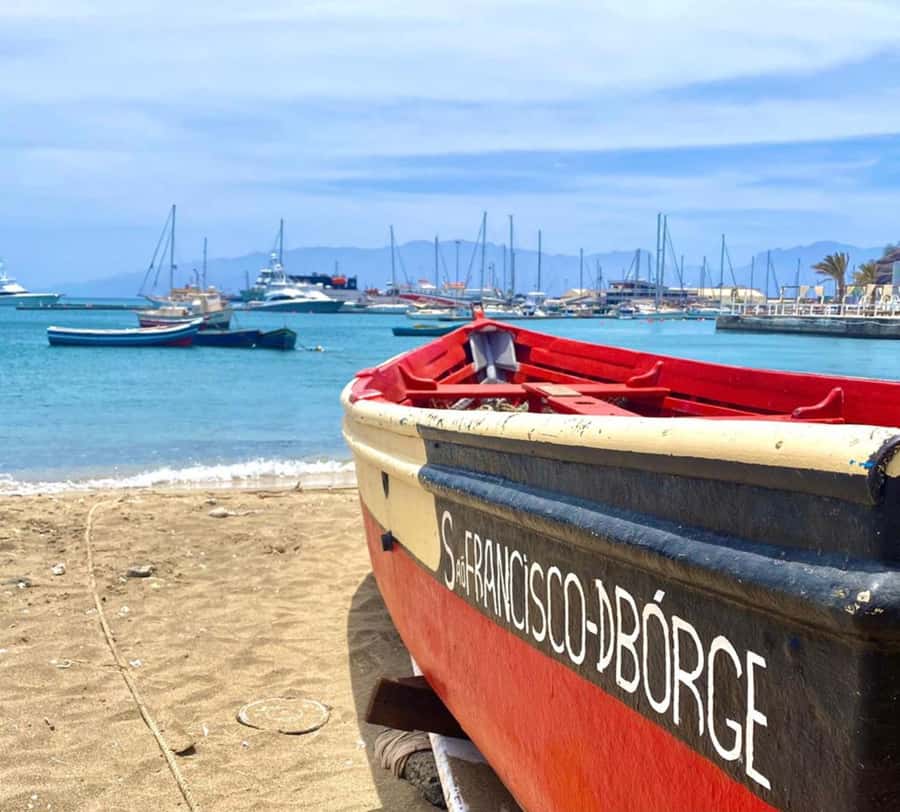 São Vicente: Snorkel with Sea Turtles Adventure - Pickup, São Pedro, and how the 1-hour plan unfolds