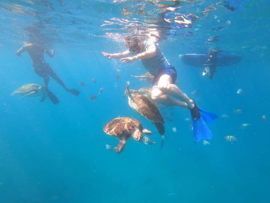 São Vicente: Snorkeling with Turtles Breathtaking Experience - Pickup from your hotel, then straight to São Pedro village