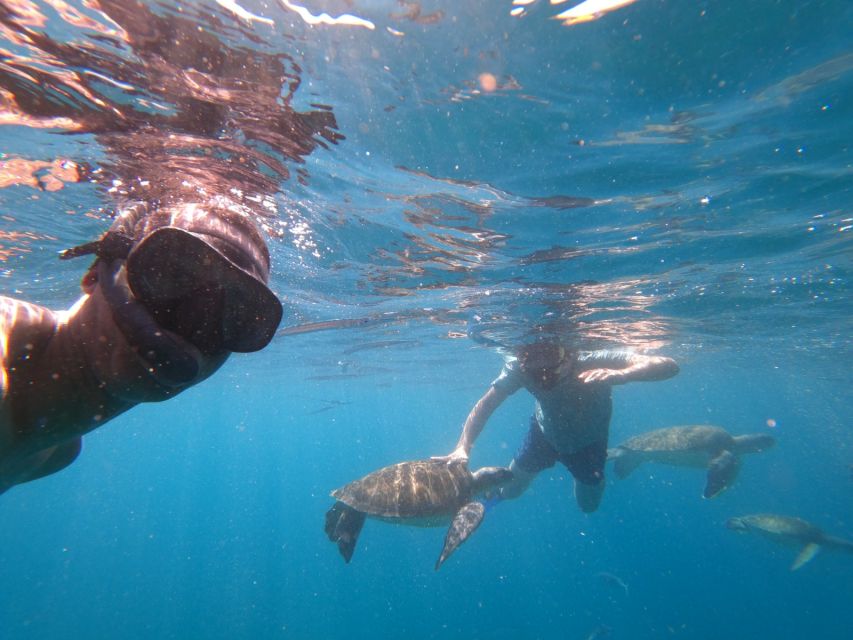 São Vicente: Snorkeling with Turtles Breathtaking Experience - Snorkeling with green turtles: your best game plan
