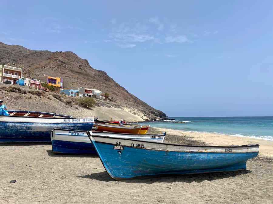 São Vicente: Swimming and Snorkeling Tour with Sea Turtles - What else swims by in São Pedro waters