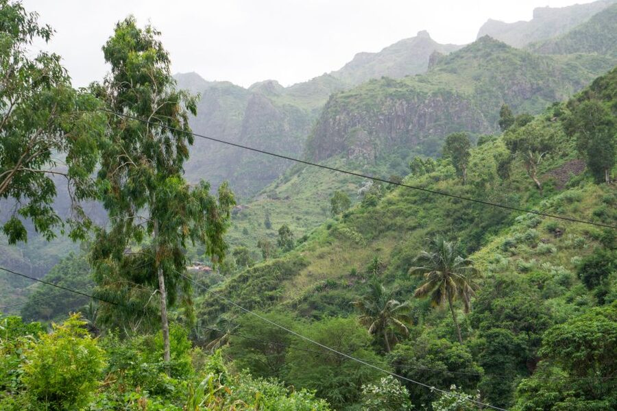 Serra Malagueta Natural Park: Hike to Gongon Valley & Lunch - Serra Malagueta Natural Park: endemic plants and real mountain bird moments