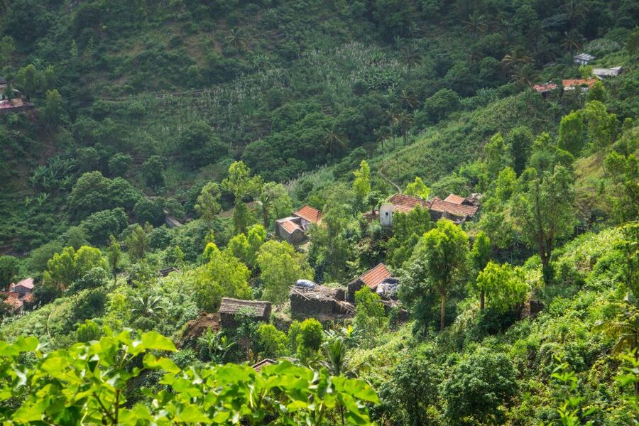Serra Malagueta Natural Park: Hike to Gongon Valley & Lunch - Lunch with local families: picnic-style fuel, plus home cooking potential