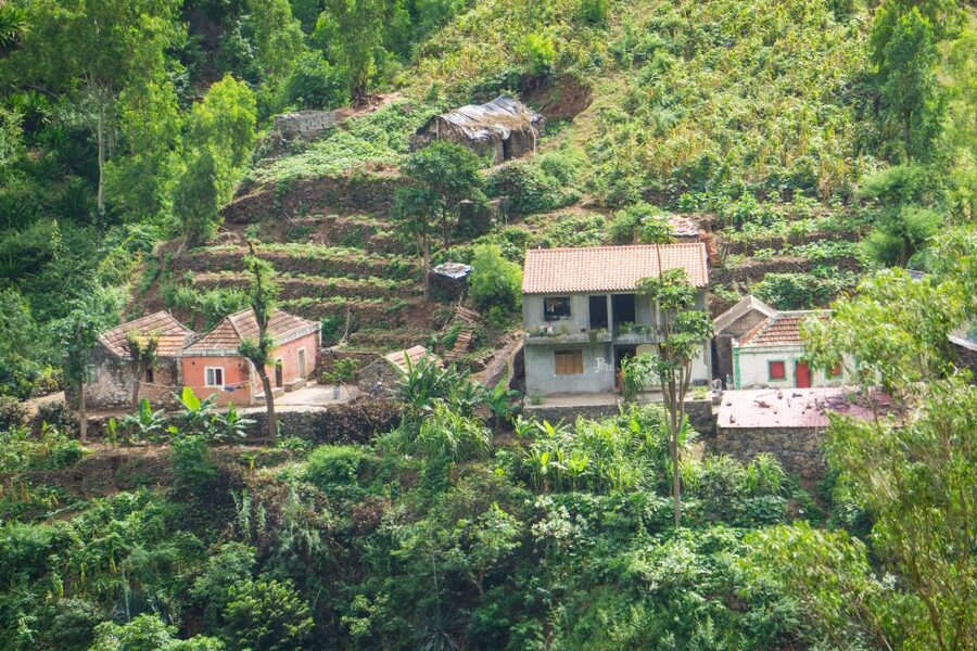 Serra Malagueta Natural Park: Hike to Gongon Valley & Lunch - Guides and pace: Jose, Cati, and Katia set the tone
