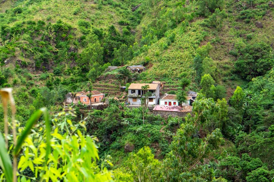 Serra Malagueta: Principal Valley Hike & Lunch with Locals - Lunch in Mato Dento with a local family: the real centerpiece