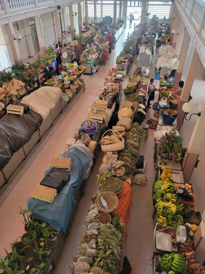 Shore Excursion: São Vicente, Full Day, 6h - Mindelo’s Cultural Center and Markets: Where the Island Feels Daily
