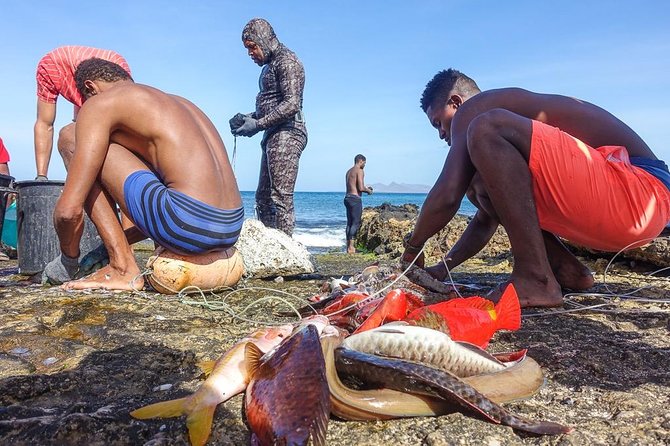 Shore Excursion São Vicente, Mindelo 4h or 6h - Value for $81.43: what you are really buying