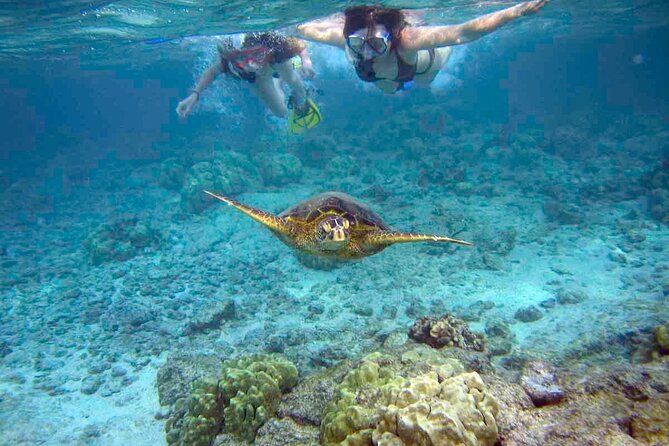 Snorkeling Experience in Santa Maria Bay by boat - Key highlights before you go