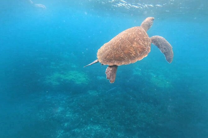 Snorkeling Experience in Santa Maria Bay by boat - Santa Maria Bay by Zodiac: the quick ride that sets expectations