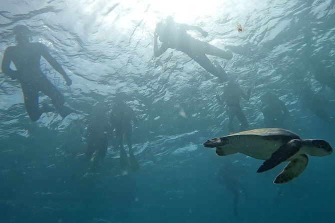Snorkeling Experience in Santa Maria Bay by boat - Santa Maria bay logistics that actually matter: pickup, mobile tickets, and timing