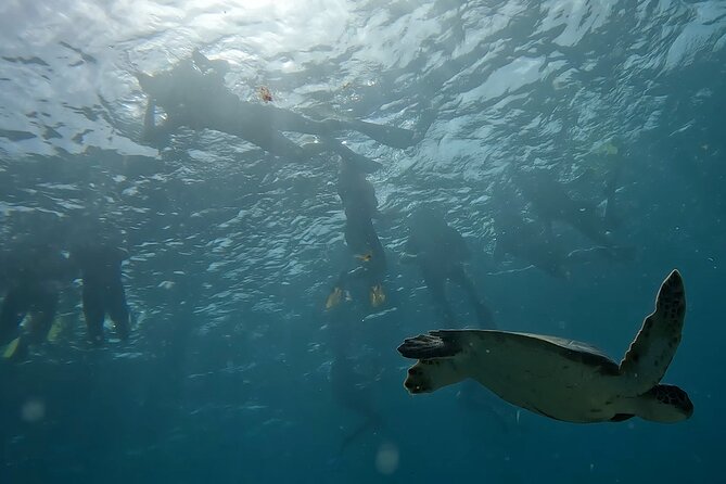 Snorkeling Experience in Santa Maria Bay by boat - Waves, comfort, and the swimmer factor