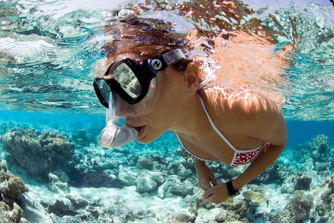 Snorkeling Tour - Timing, meeting point, and what the 2 hours really feels like