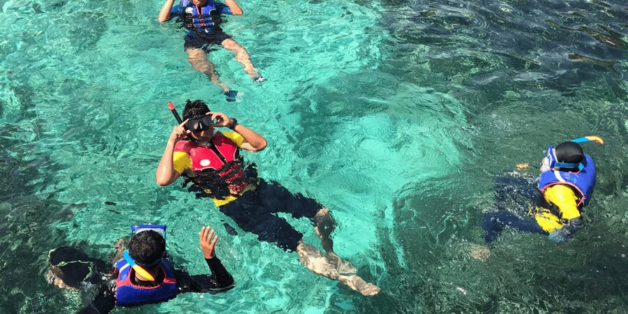 Snorkeling with turtles at Sao Pedro's Beach - How the turtle snorkeling portion works once you are in the water