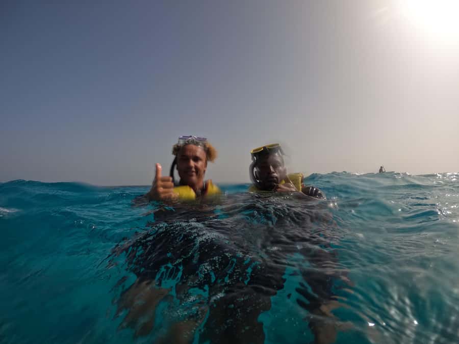 Snorkelling trip with certificate local guide - Gear, Turtles, and That Feeling of Safety (or the Need to Check Your Kit)
