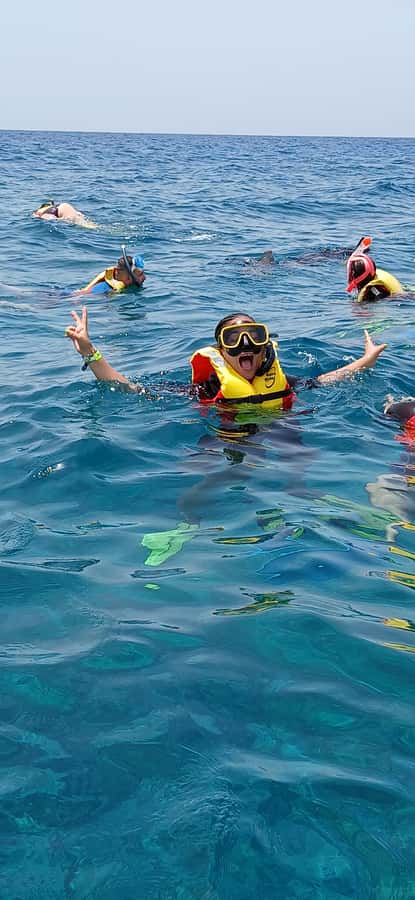 Snorkelling trip with certificate local guide - Who Should Book This Trip, and Who Should Skip It