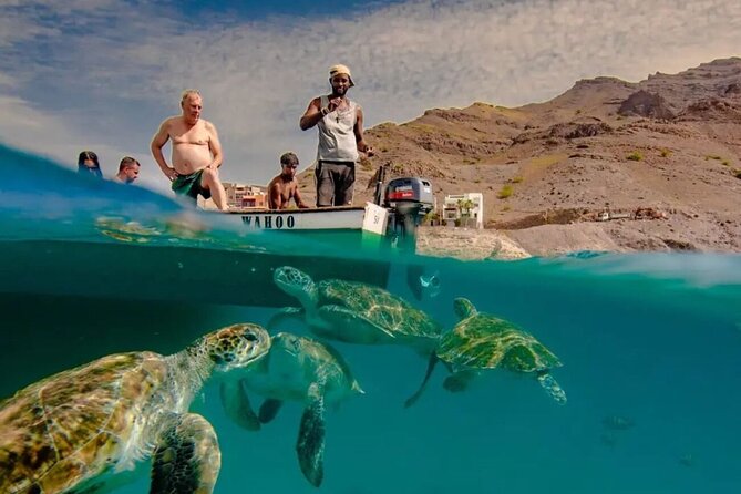 Spectacular experience with sea turtles - Key things to know before you go