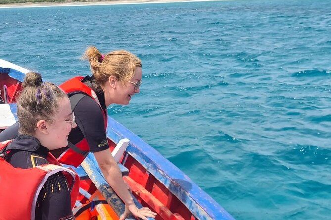 Spectacular experience with sea turtles - Boat ride and turtle feeding: your best window for a close encounter