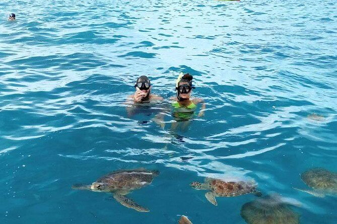 Spectacular experience with sea turtles - Safety measures that protect turtles and you