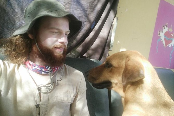 Volunteering with animals in Sao Vicente! - The clinic and hostel pieces that turn help into results