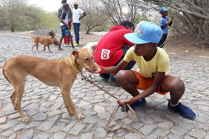 Volunteering with animals in Sao Vicente! - Should you book this Sao Vicente animal volunteering session?